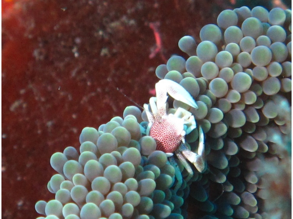 IMG_6232 - Version 2 (1) IMG_6232 - Version 2 (1)